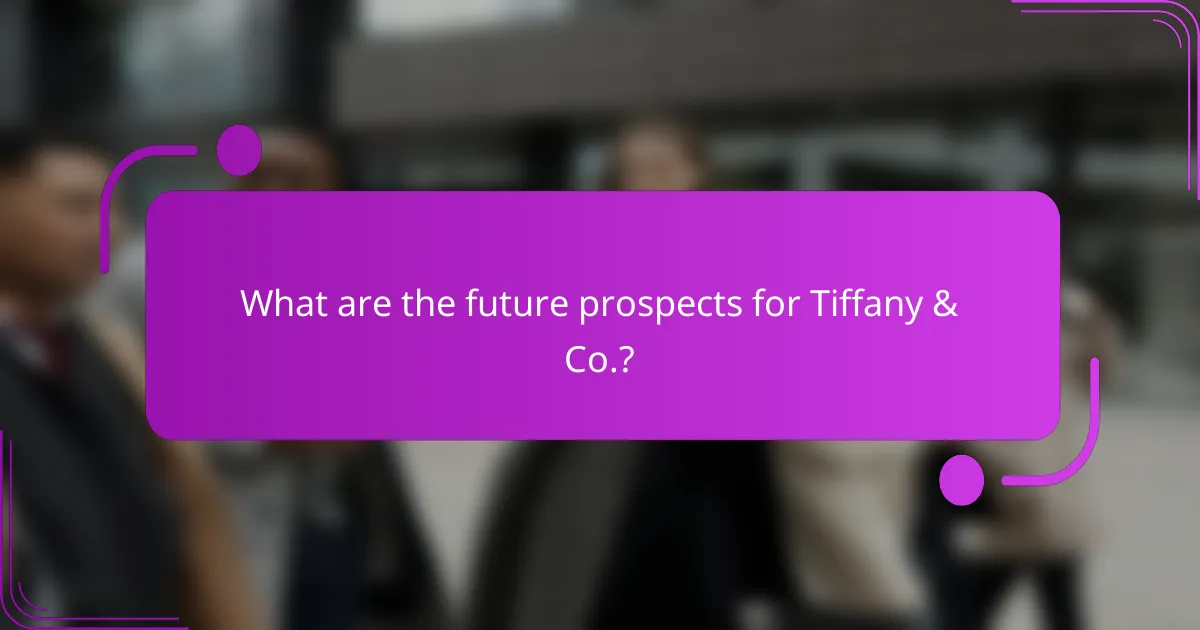 What are the future prospects for Tiffany & Co.?